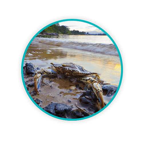 Maryland Medical Waste Management Daniels Health